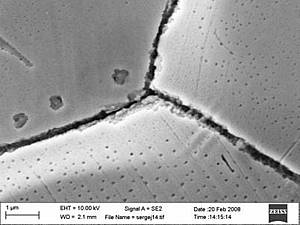 Scanning electron microscopy (SEM) image of a grain boundary in a galvanized steel surface