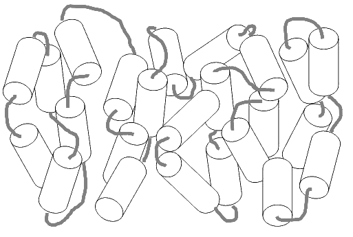 Nematic phase of a polymeric main chain (see Figure 1)