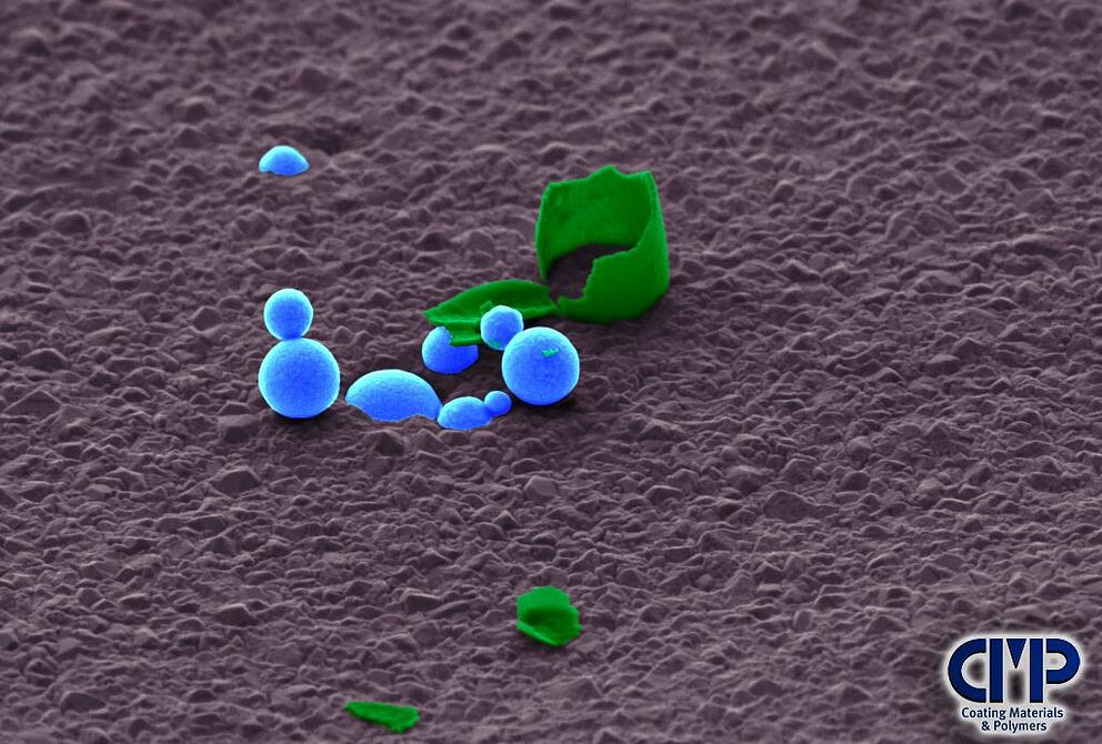 Nachkolorierte Rasterelektronenmikroskopaufnahme: Nanopartikel in und auf einem beschichteten elektrischen Kontakt. Probe: Arbeitskreis Prof. Dr. Song, Hochschule OWL.