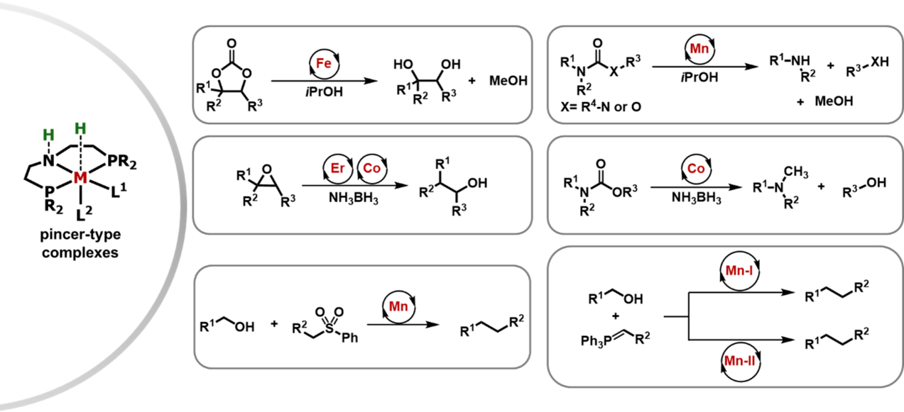 Schema nachhaltige Metallkatalyse