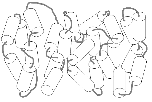 Nematische Phase eines Hauptkettenpolymers