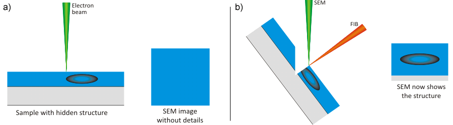 Figure 4 a) pure scanning electron devices can detect only near-surface structures; b) FIB serial sectioning allows the detection of structures in layers below the surface.